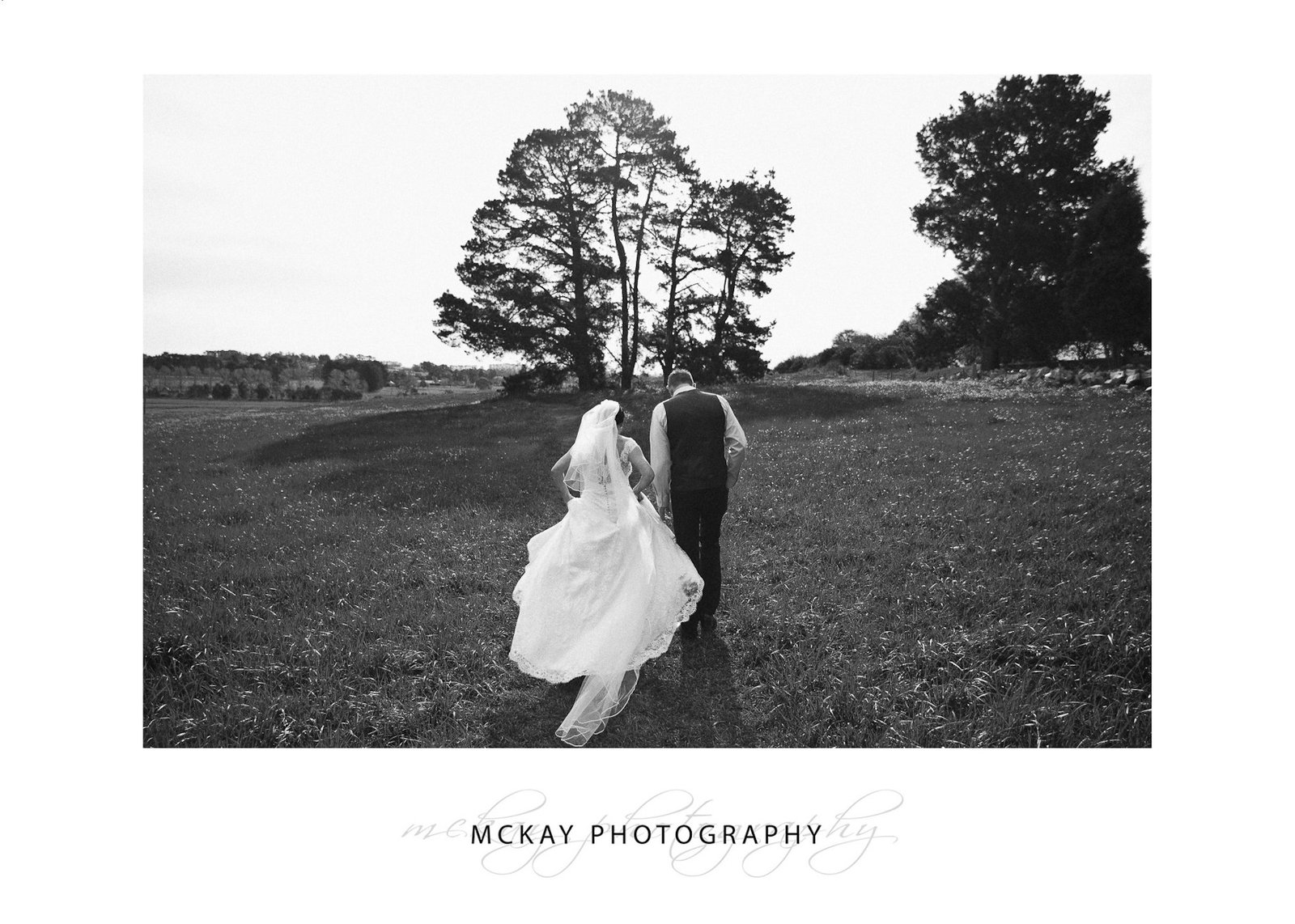 Dissertation signature page ou dissent history wikipedia