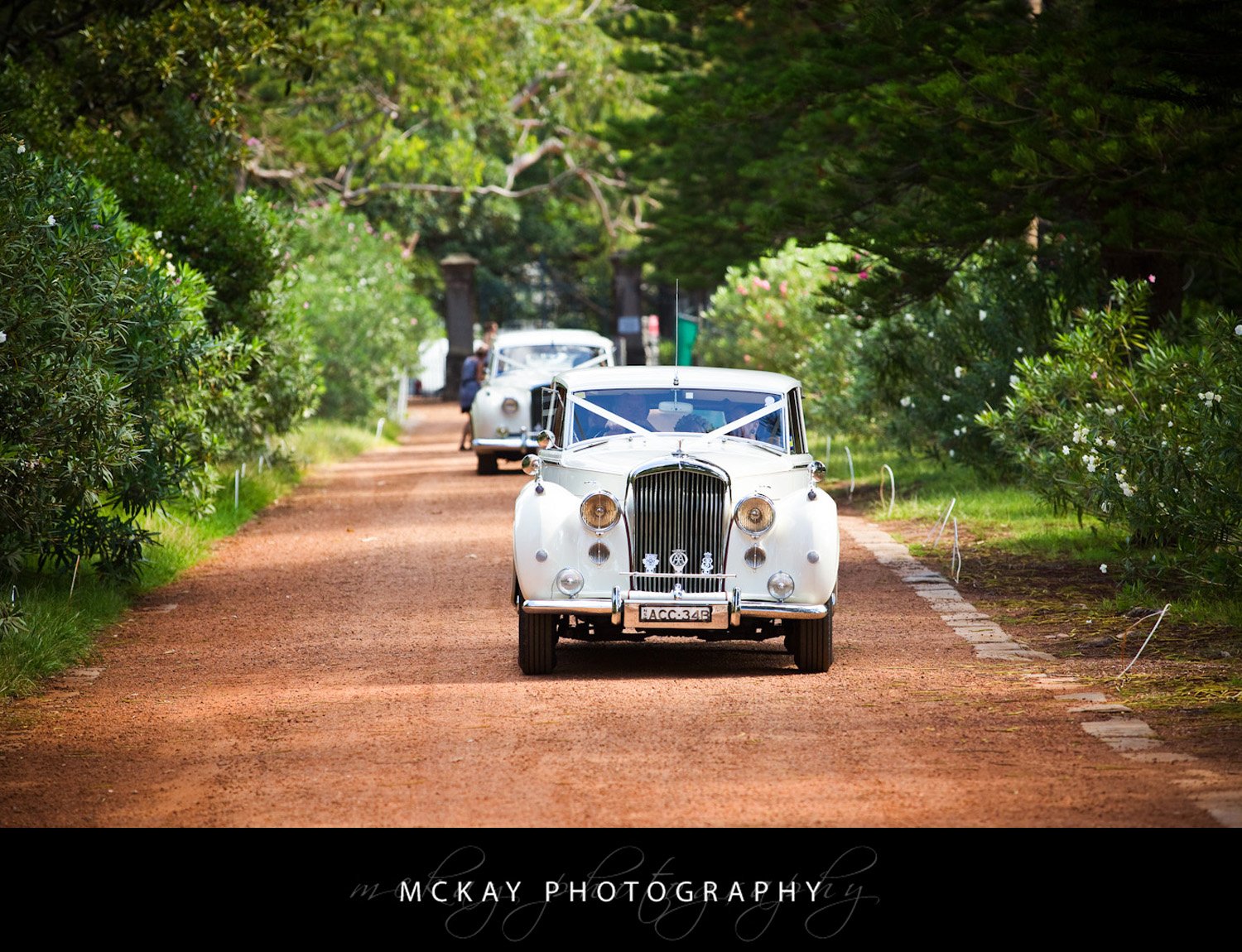 Kate David Wedding  Cerretti Chapel Manly Wedding Zoo Taronga Centre