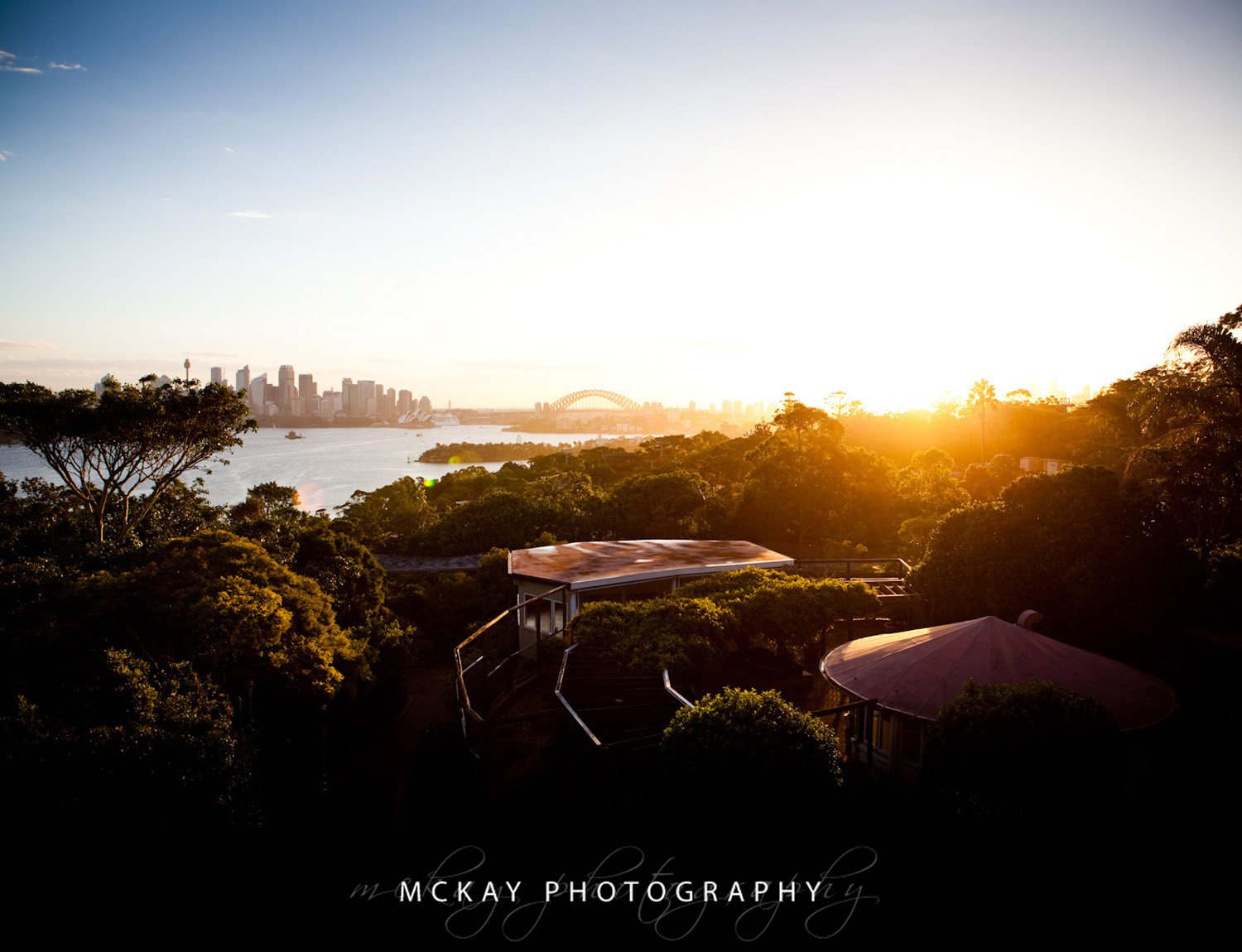 The impressive view from the Taronga Centre wedding venue Kate David Wedding 