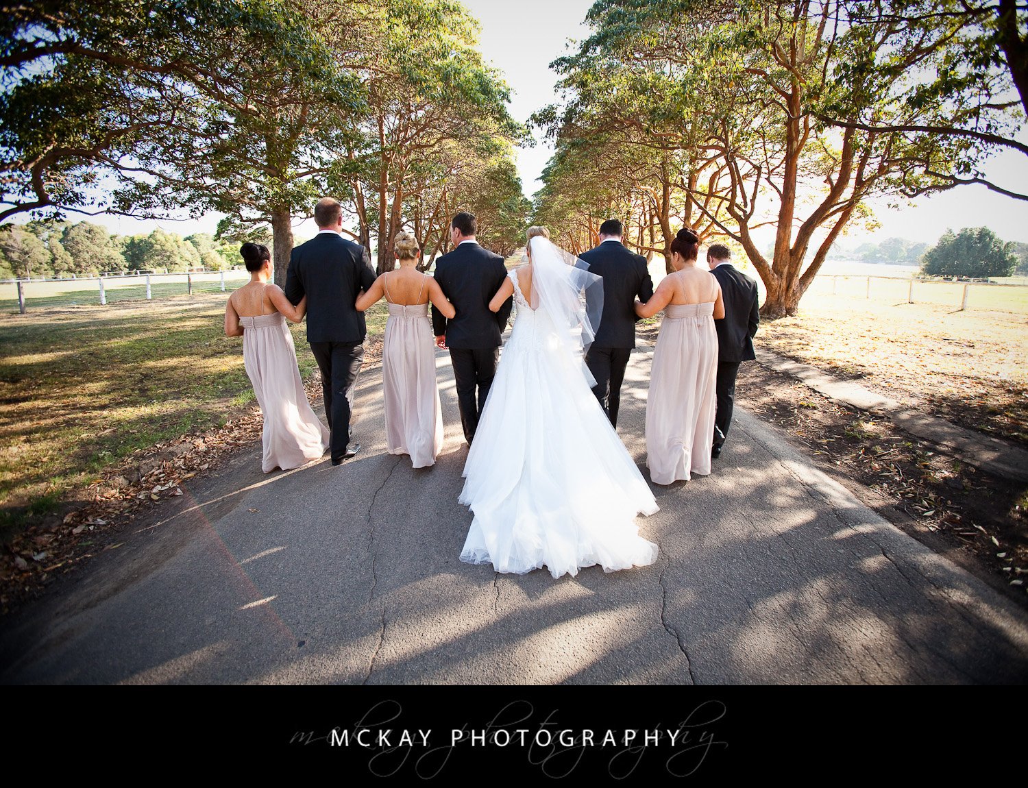 Nichole Matt - Angelos on the Bay - Wedding Photography Sydney