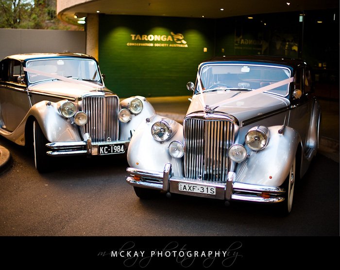 Mary Ryan wedding - Bradleys Head wedding Taronga Centre