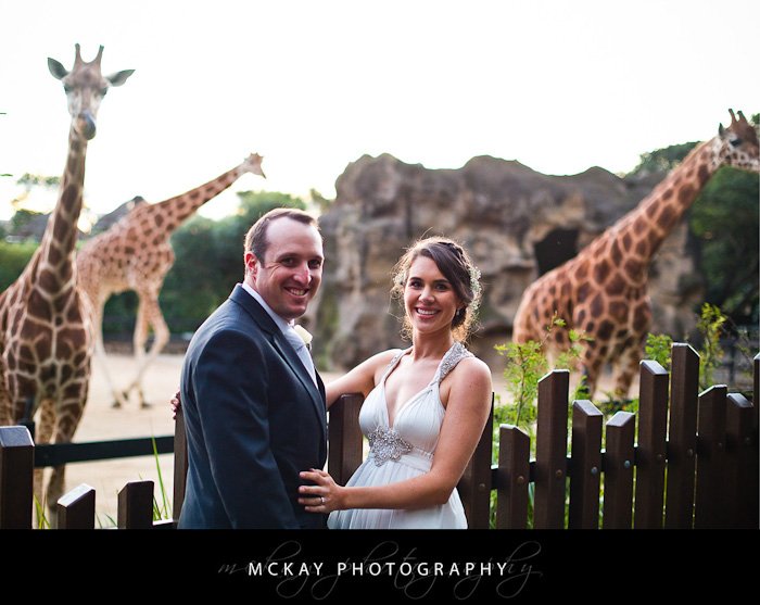 Mary Ryan wedding - Bradleys Head wedding Taronga Centre