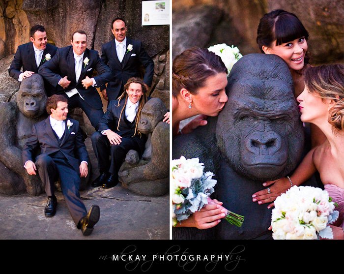 Mary Ryan wedding - Bradleys Head wedding Taronga Centre