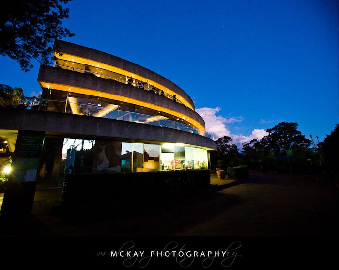 The Taronga Centre viewed from below Mary Ryan wedding