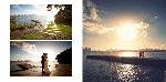 Taronga Centre Sydney wedding Page44_45