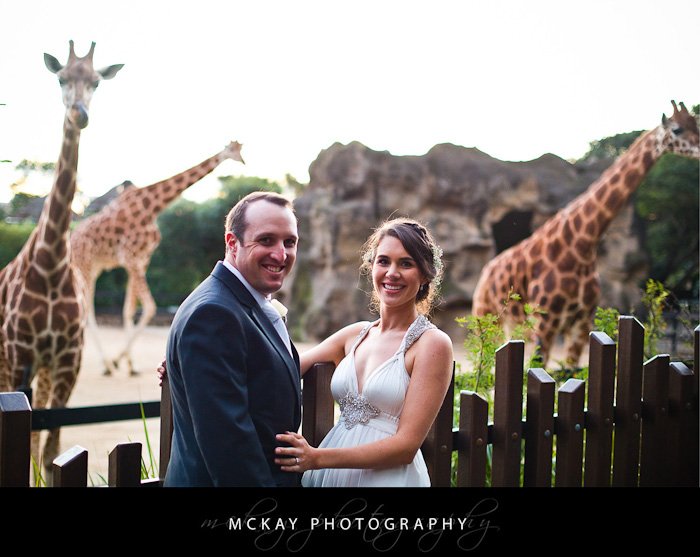 Mary Ryan wedding- Bradleys Head wedding Taronga Centre