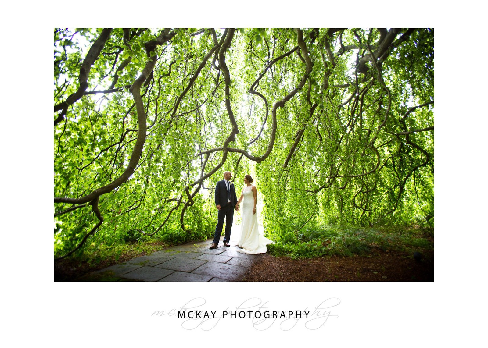 Mel Dave Milton Park wedding Bowral