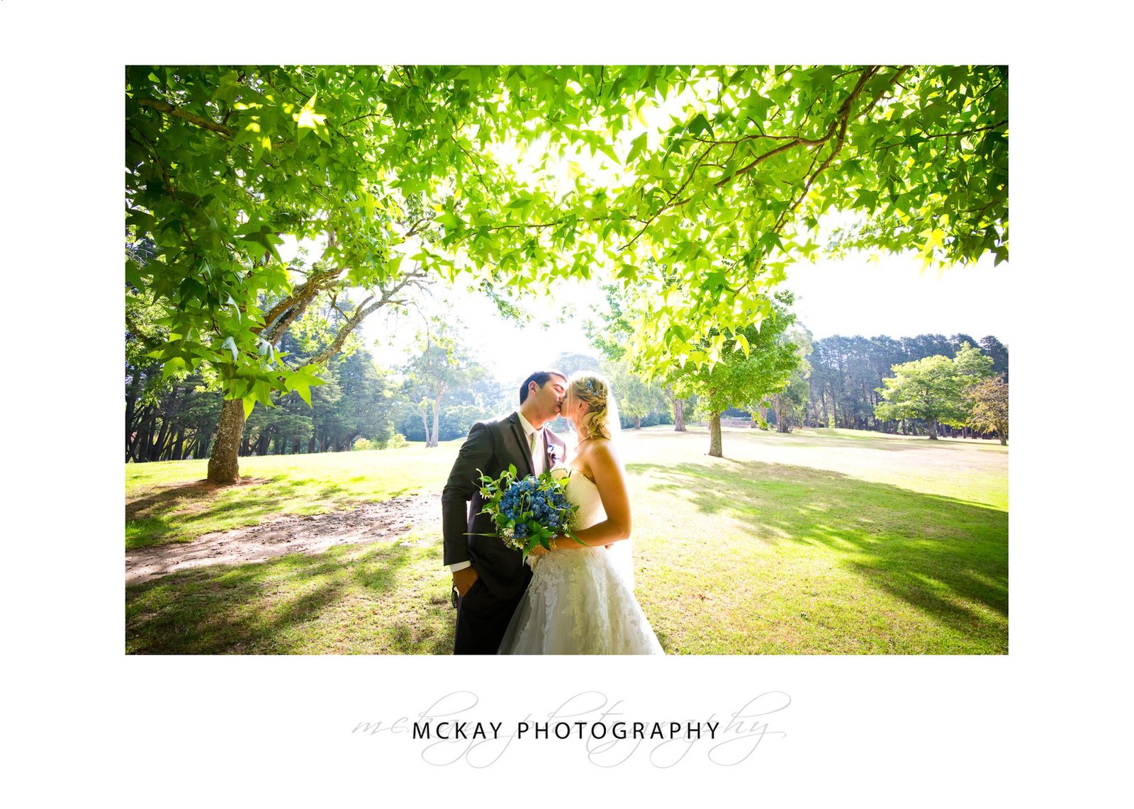 Backlit leaf tree wedding photo colourful Bowral
